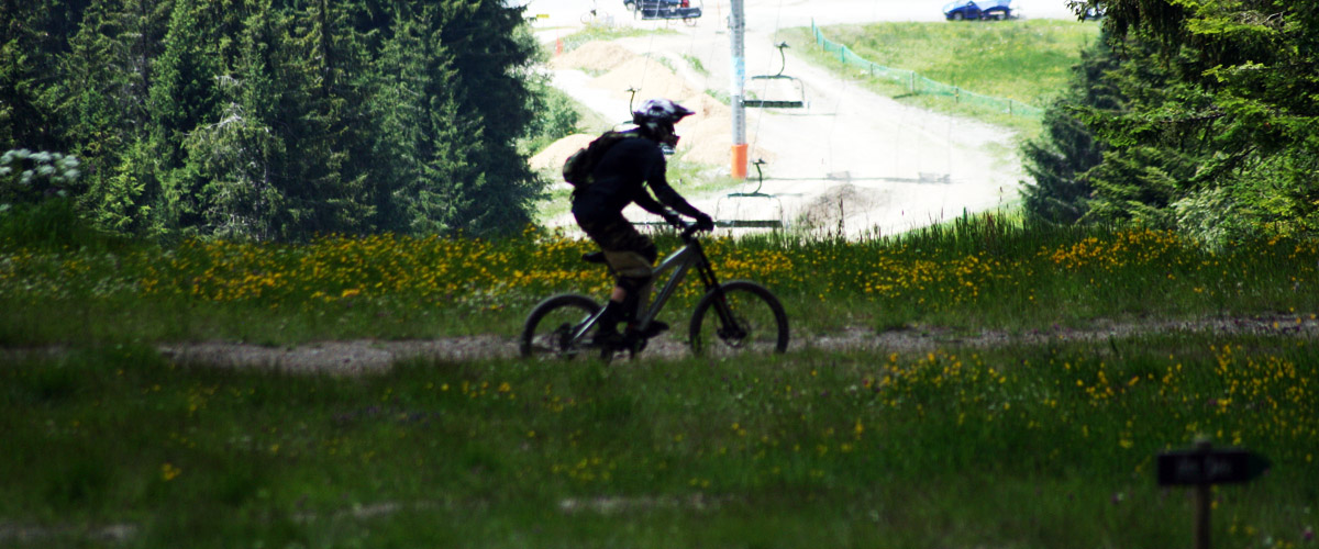 Les Gets - Mountain biker